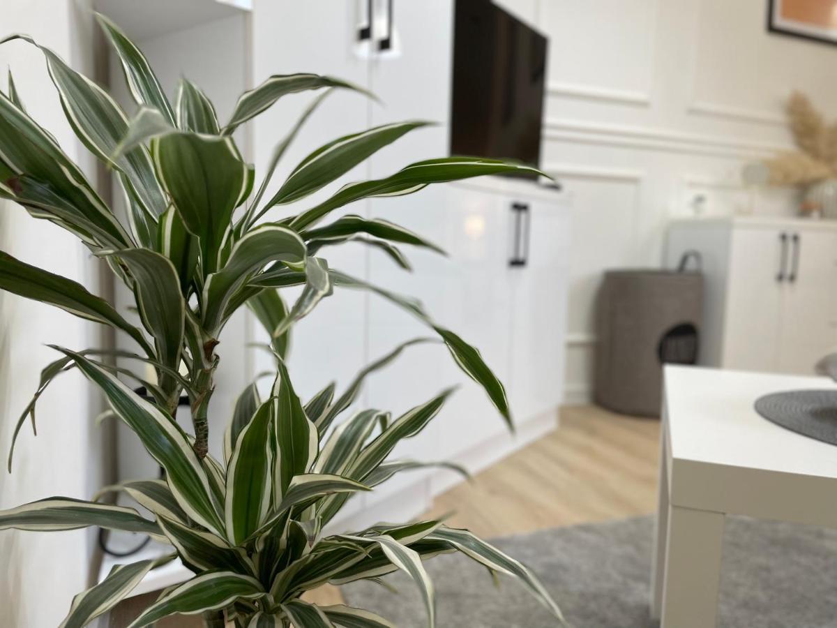 Apartments Tema Сомбор Екстериор снимка
