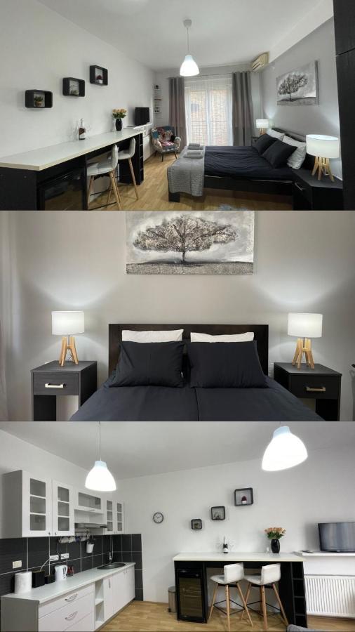 Apartments Tema Сомбор Екстериор снимка